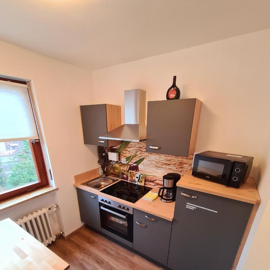 1,5 Zimmer Apartments Mit Traumhafter Aussicht Бад-Киссинген Экстерьер фото